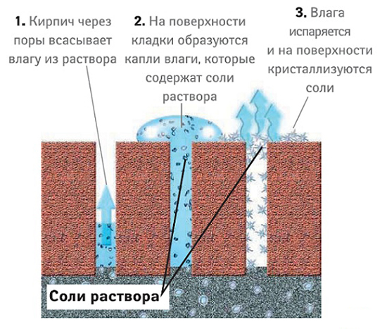 Схема кристаллизации соли на стенах