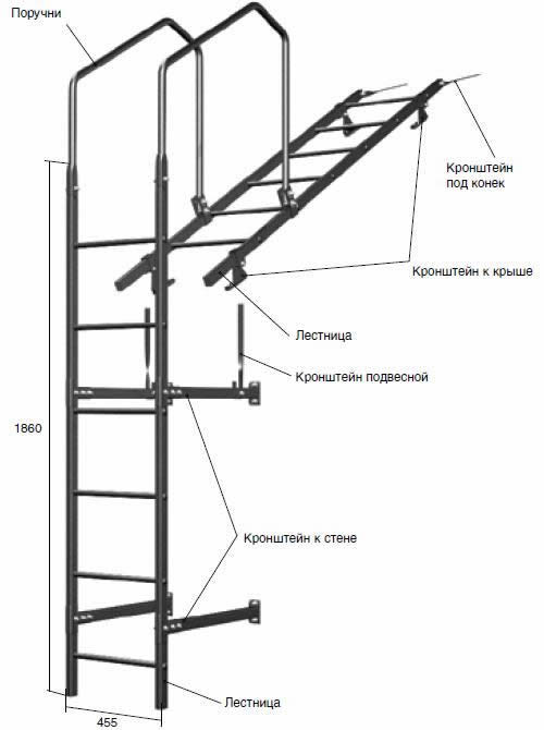 Устройство лестницы для крволи