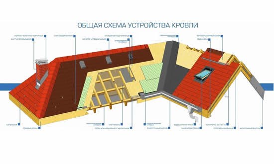Схема устройства кровли Схема устройства кровли