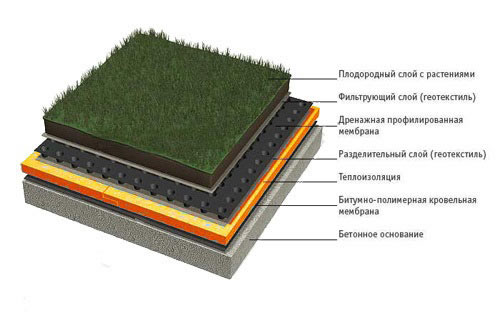 Структура  кровельного пирога зеленой крыши.