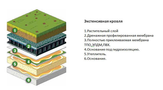 Кровельный пирог зеленой кровли